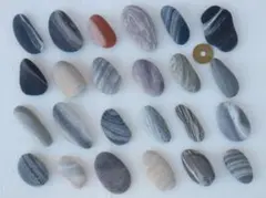 【天然石】石ころ・ストライプ・縞模様★24個★11/23-4