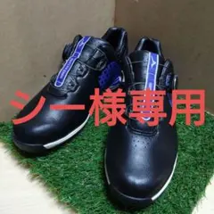 Item thumbnail for item f023ec58-62ff-4a34-a725-fbabf828ecb0