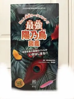 2026年最新】新政頒布会の人気アイテム - メルカリ