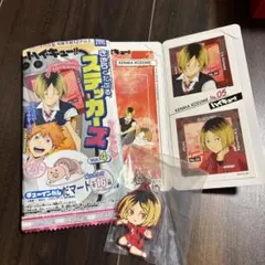 Item thumbnail for item 76314eb8-12e5-457f-aefe-dc91c7c691c2