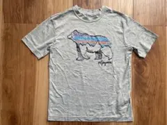 patagonia 水陸両用　Tシャツ