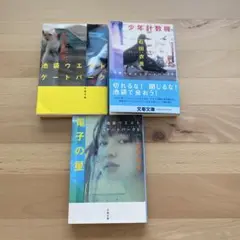 池袋ウエストゲートパーク 少年計数機 電子の星 セット 石田衣良 文春文庫
