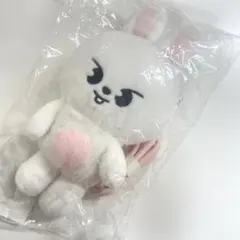 StrayKids スキズ ソウル クロスバッグ リービット リノ トレカ付