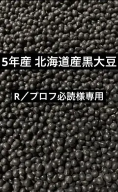 R／プロフ必読様専用