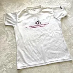 asics バレーボール Tシャツ M ホワイト　バボちゃん　レディース