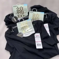 GUNZE 綿100% ソフトタッチ Tシャツ Lサイズ ブラック