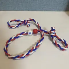 HAL SPORTS ハルスポーツ楽体RAKUDA