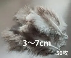 Item thumbnail for item 4ae12888-c764-45f3-a154-69d7660388c6