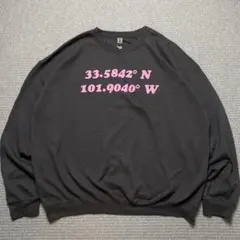 GILDAN スウェット グレー 座標 地図 英数字ロゴ USA古着 レア