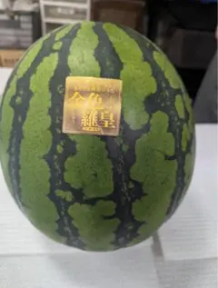 熊本県産 金色羅皇西瓜【黄色】 Lサイズ 2玉入り - メルカリ