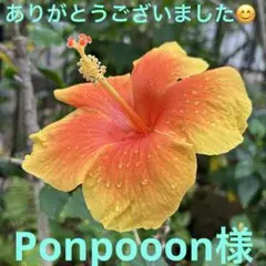 鬼滅の刃 胡蝶しのぶ コスプレ衣装 140サイズ　仮装　イベント　コミケ