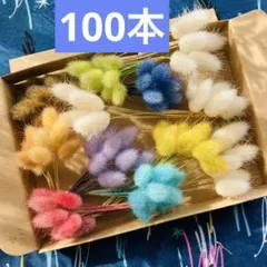 83 ドライフラワーラグラスミックスカラー極小サイズ200本 - メルカリ