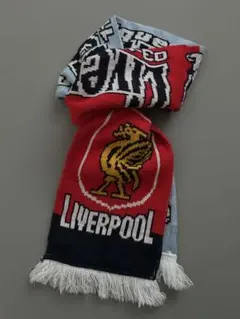 リバプール　ＣＬ優勝記念　マフラー 日本未発売 24-25 チャンピオン リヴァプール 優勝 マフラー 公式 限定