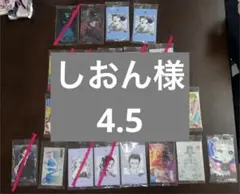 しおん様 4.5番