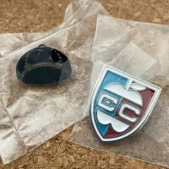 SPY×FAMILY アイコンピンバッジ　アーニャ帽子　校章　ガチャガチャ