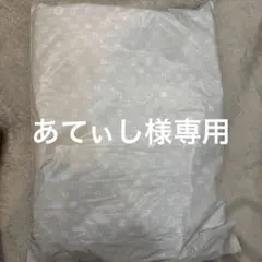 あてぃし様専用⭐︎レスポ　ピーターラビット⭐︎LE SPIRAL