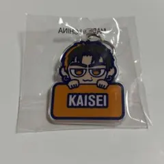 武知海青 アクリルチャーム - メルカリ