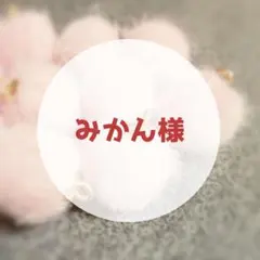 【w-08】【w−03】【w-28】【w−99】計5枚