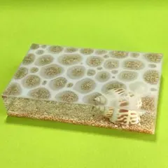 Item thumbnail for item f355a104-4b4d-4fb9-a70b-55f5223cfdfa