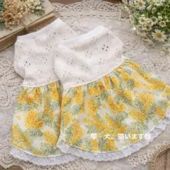 雫　犬、猫います様