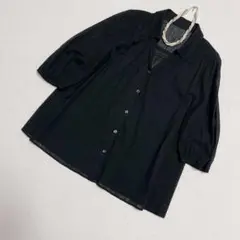 【美品】レリアン Leilian シワ加工シアーブラウス 漆黒 9号 日本製