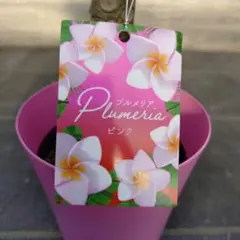 なお様 リクエスト 2点 まとめ商品