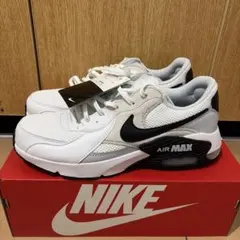 NIKE AIR MAX EXCEE FN7304-100のサムネイル