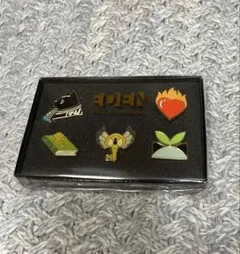 【最終値下げ】エデン組 ハーフアニバーサリー　ピンズセット