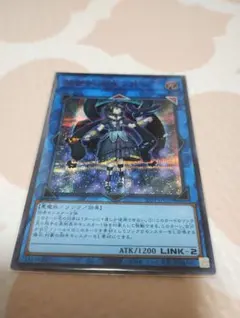 2025年最新】サロスナンナ 赤シクの人気アイテム - メルカリ