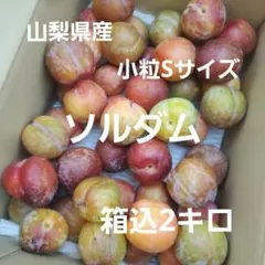 0️⃣ 山梨県産 ソルダム Mサイズ 箱込み2キロのサムネイル