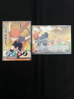 ハイキュー　バボカ　烏野高校排球部　日向翔陽　未使用品