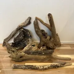 天然流木no.39 サイズS-M 8本まとめ売り