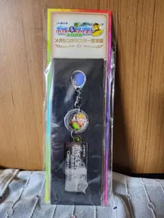ポケモン JR東日本 スタンプラリー 全駅達成 キーリング