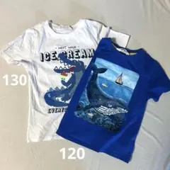 Item thumbnail for item ef0e1d7f-c5f6-49f9-bf1e-f19396349e6e