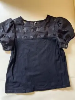 Item thumbnail for item 302fca19-8c76-428f-b398-da9f994f7b4d