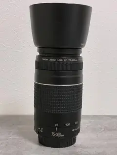 2025年最新】eos kiss x3 望遠レンズの人気アイテム - メルカリ