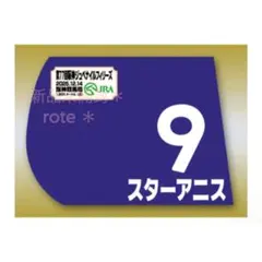 ミニゼッケン 競馬 競走馬 阪神JF 阪神ジュベナイルF スターアニス