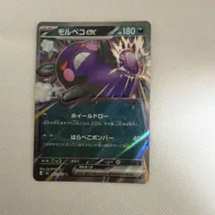 モルペコex 180 HP ポケモンカード - メルカリ