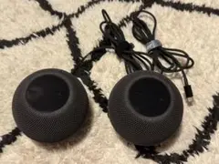 Apple Pod mini スペースグレー 2台セット ブラック Apple HomePod mini スペースグレイ | Costco Japan
