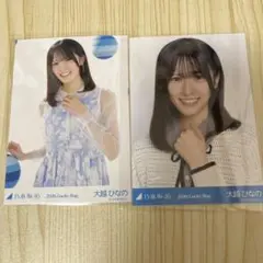 Item thumbnail for item 04fc46db-449e-40ff-a563-89d4d401de7d