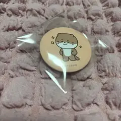 SEVENTEEN miniteen ミニティーンチャンダリ　ディノ　缶バッジ