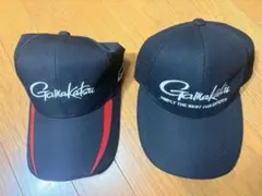 Item thumbnail for item beebbf63-6225-44bf-94cc-a42467d85cab