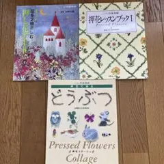 蜂からみた花の世界 : 四季の蜜源植物とミツバチからの贈り物 - メルカリ