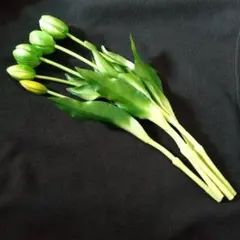 Item thumbnail for item 9bd9a346-ba04-4916-a48a-b9b2cb4ee827