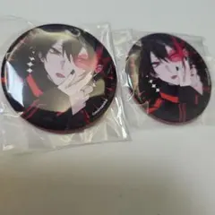 めろんぱーかーKAITOさんソロライブ缶バッジ2個セット