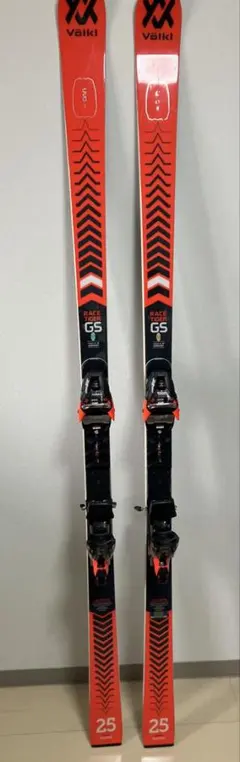 2026年最新】volkl gsの人気アイテム - メルカリ