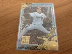 Item thumbnail for item 1d715c6c-c673-4bd8-ae3f-9908d30abfc6