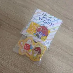 망각 배터리 치하야 순평 이름 배지