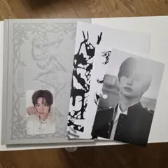 ALD1 少年BEAST Fragile Beast アンシン トレカ付き
