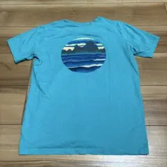 patagonia パタゴニア　p6 tシャツ ボーイズＸＬ１４サイズのサムネイル